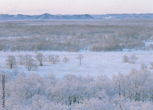 冬の釧路湿原（北海道・標茶町） 