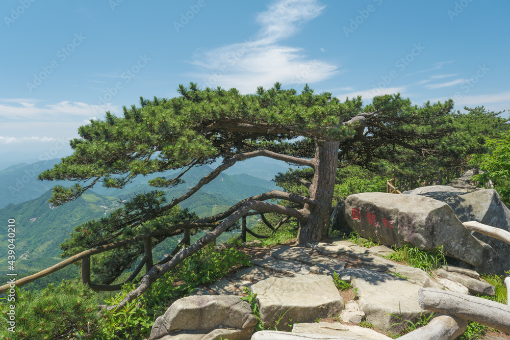 Φωτογραφία Early summer scenery of Dabie Mountain Bodao Peak Scenic Area in Luotian, Huangg