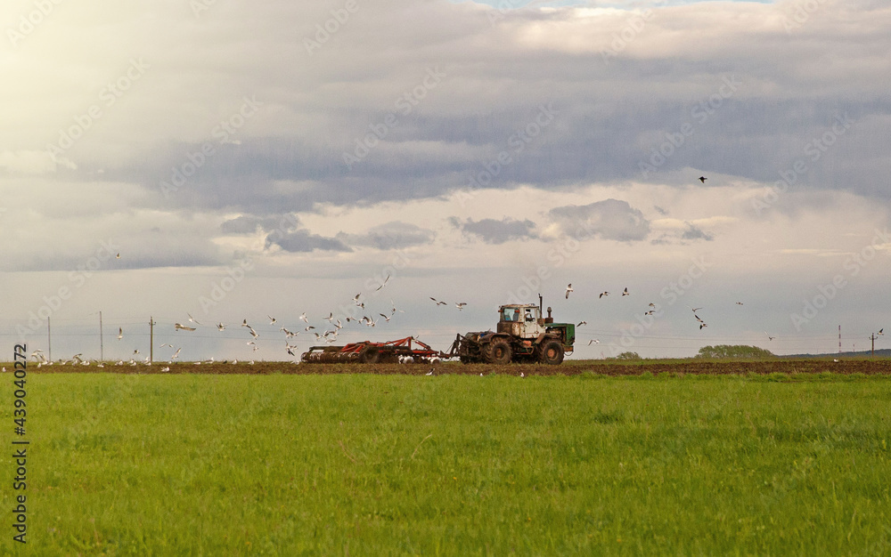 The tractor works in a green field in cloudy weather.