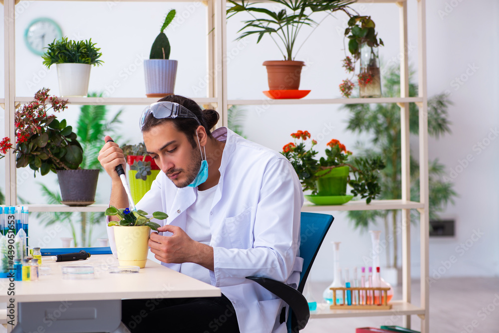 Fototapeta premium Young male chemist perfumer working in the lab