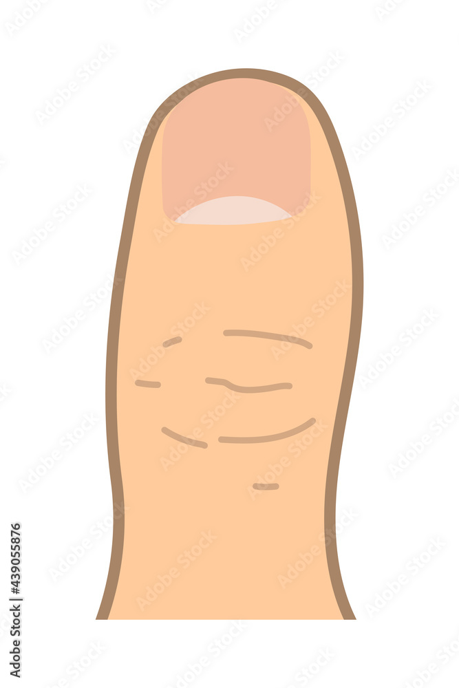 親指 親指