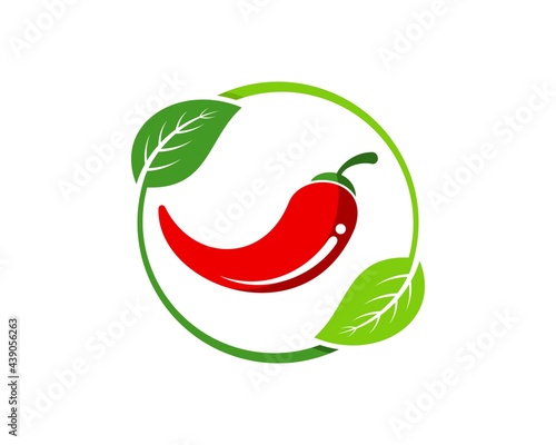 Circular nature leaf with red chili inside