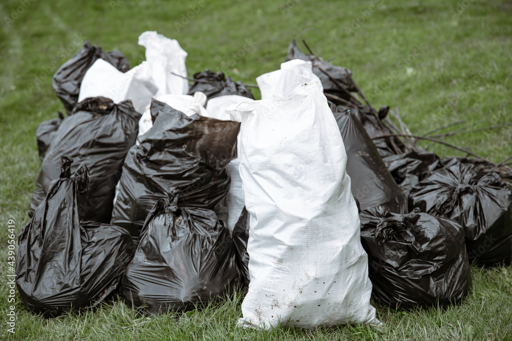 Close-up of garbage bags in the forest on the grass. Close-up of garbage bags in the forest on the grass.