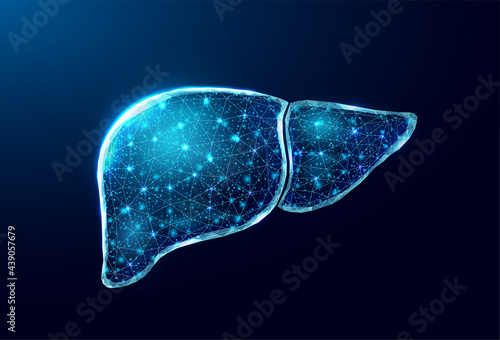 Human liver. Wireframe low poly style. Concept for medical, treatment of the hepatitis.  Abstract modern 3d vector illustration on dark blue background.