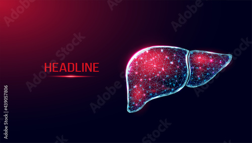 Human liver. Wireframe low poly style. Concept for medical, treatment of the hepatitis.  Abstract modern 3d vector illustration on dark blue background.