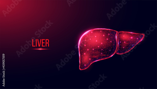 Human liver. Wireframe low poly style. Concept for medical, treatment of the hepatitis.  Abstract modern 3d vector illustration on dark blue background.