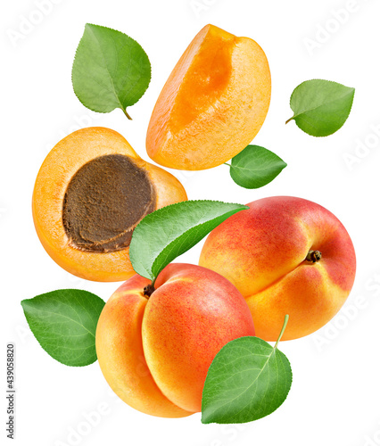 Apricot fruit with apricot leaf isolated on white background