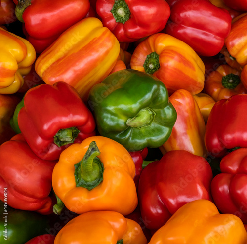 Group of multi-colored bell peppers at a farmer's market.