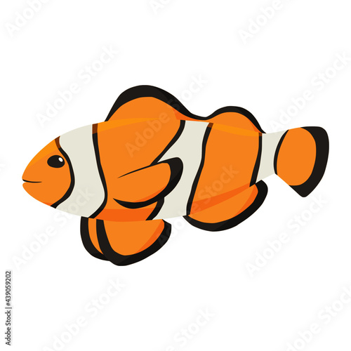clownfish of sea animal illustration