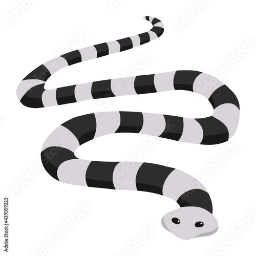 sea snake of sea animal illustration