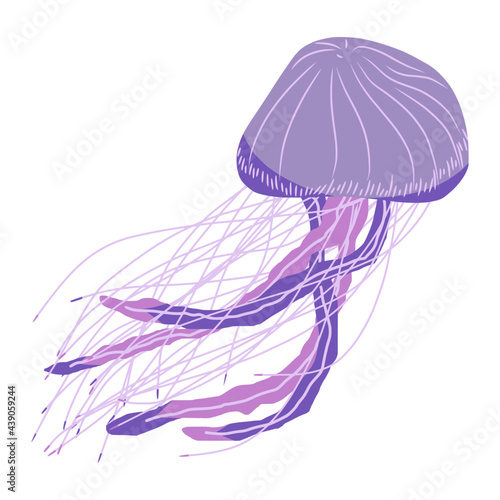 jellyfish of sea animal illustration