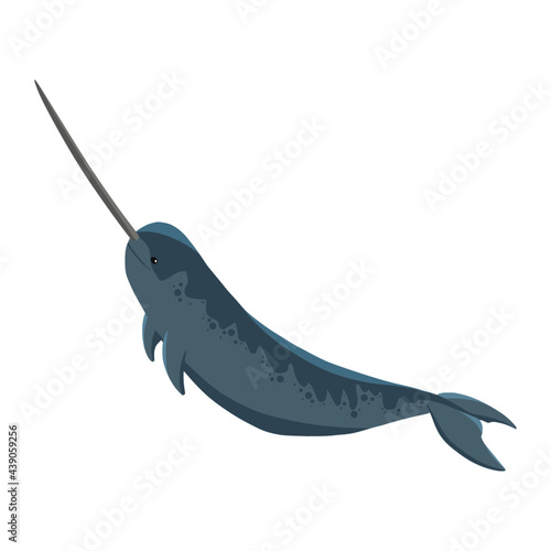 narwhal whale of sea animal illustration