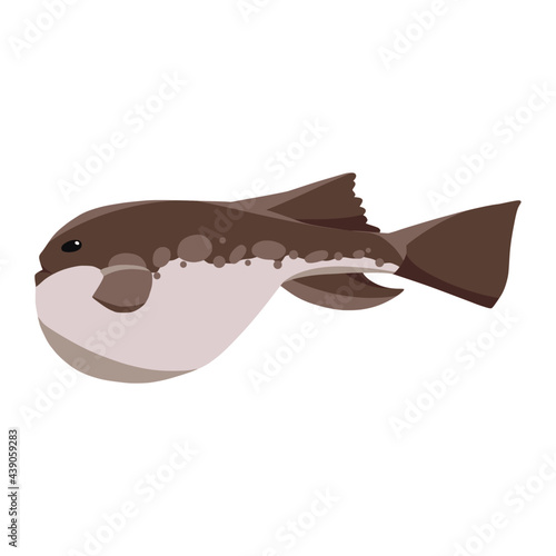 pufferfish of sea animal illustration
