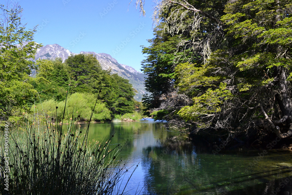 Green lake in the woods with mountain vista and lush vegetation on sunny summer day.