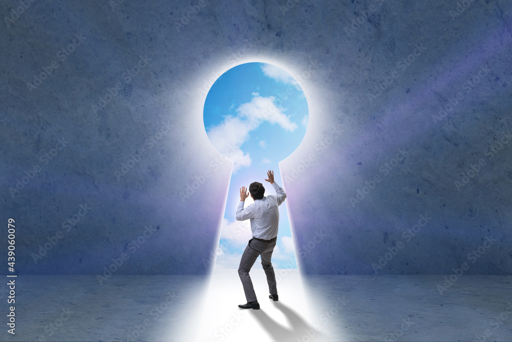 Obraz premium Businessman opening new door to success