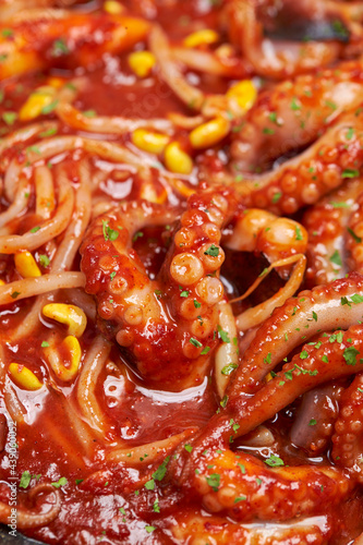 Spicy stir-fried octopus, Korean food 