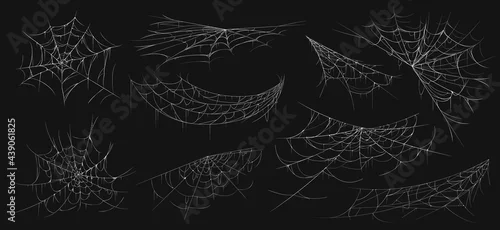 Obraz Realistic spider web. Scary cobwebs. Isolated insect nets. Halloween decoration line elements set. Arachnid nettings. Hanging white creepy spidery threads. Vector natural grid templates