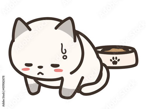 食欲の無い猫　体調不良