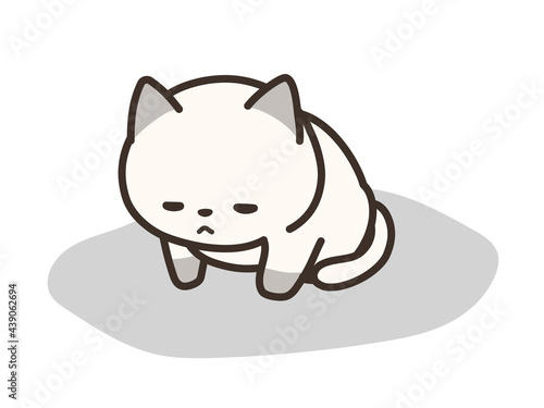 精神を病んでいる猫　元気のない猫