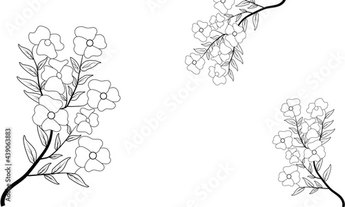 Flower Line Art Coloring Page Vector Illustration