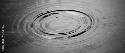 single raindrop makes ripples in water