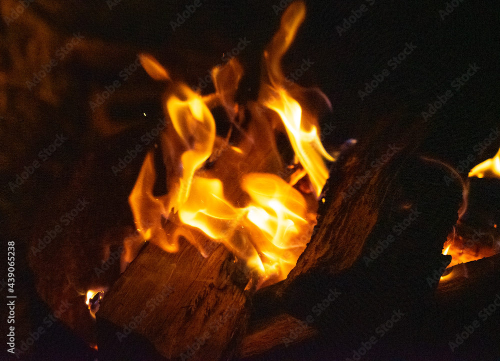 fire pit in the gold coast hinterland 