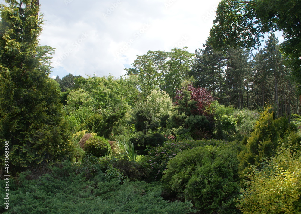 Fototapeta premium SONY DSC