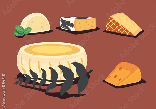 appetizer cheeses types photo