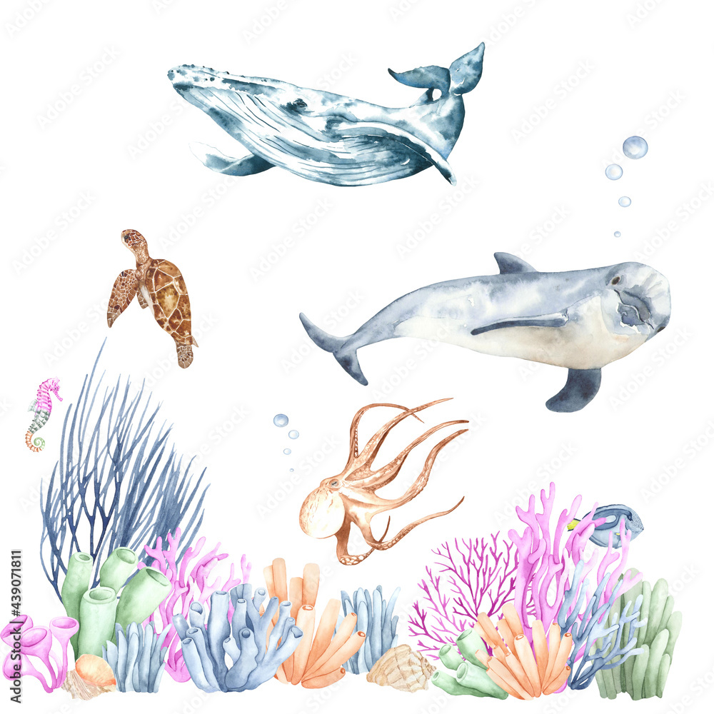 Watercolor illustration of sea life. Perfect for printing, web, textile design, various souvenir ...