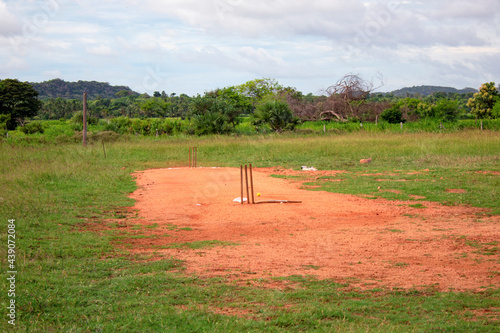 The cricket playground in the village near the forest
