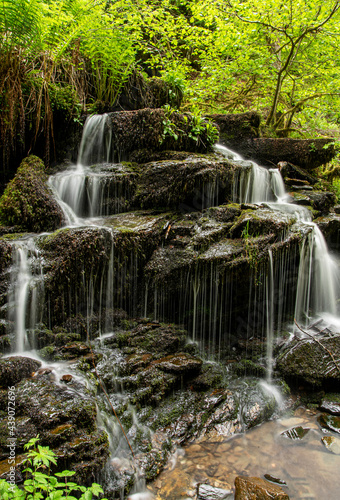 Photography of waterfall in forest