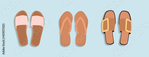 Women's summer shoes collection. Top view.  Female flip flops, shoes, sneakers. Hand draw vector illustration