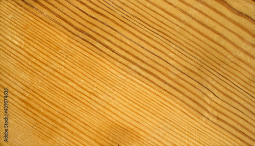 Smooth light wood surface with textured grains and bonding