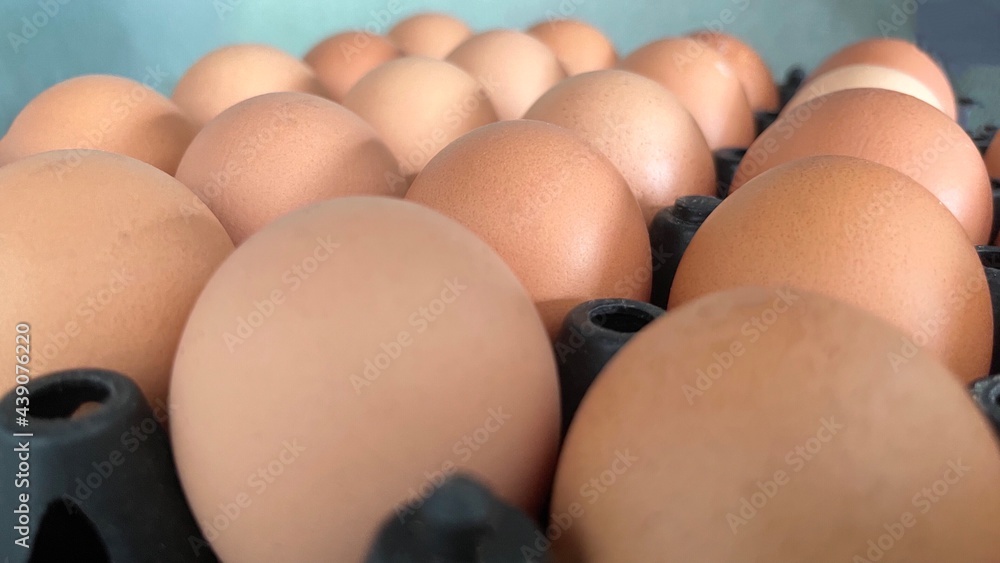 Closeup raw chicken eggs packing box black beige eggs isolated Closeup raw chicken eggs packing box black beige eggs isolated