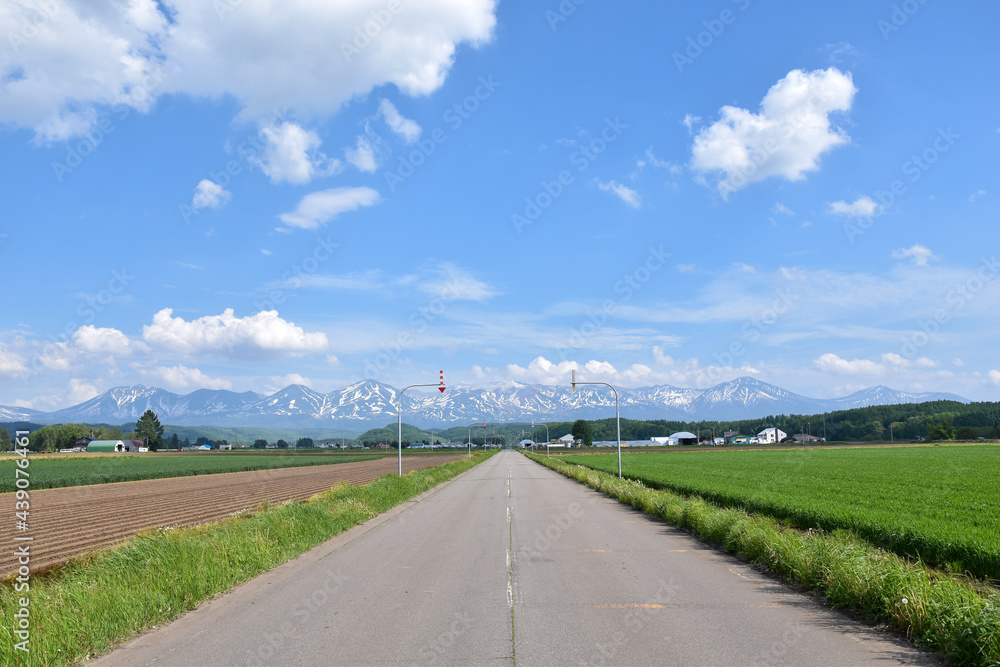 十勝岳連峰と一本の道