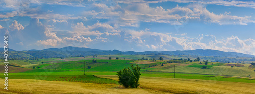 field in the natural country landscape of Romania. High resolution panorama with wheat and sky with clouds