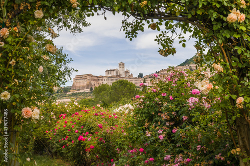Romantic view of Assisi called the city of the peace framed by roses during spring day in Umbria, Italy