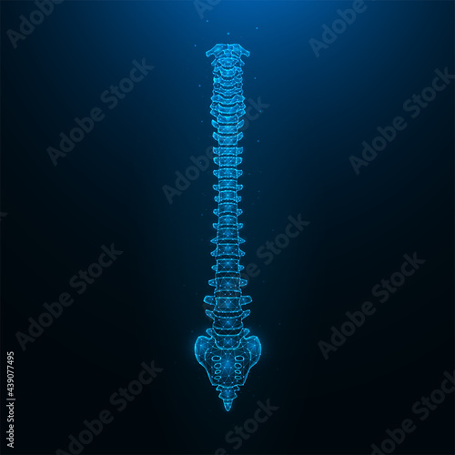 Polygonal vector illustration of a healthy human spine. Spine anatomy.