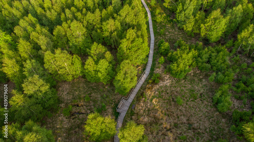 Aerial view of the hiking trail on boardwalks through the Todtenbruch Moor