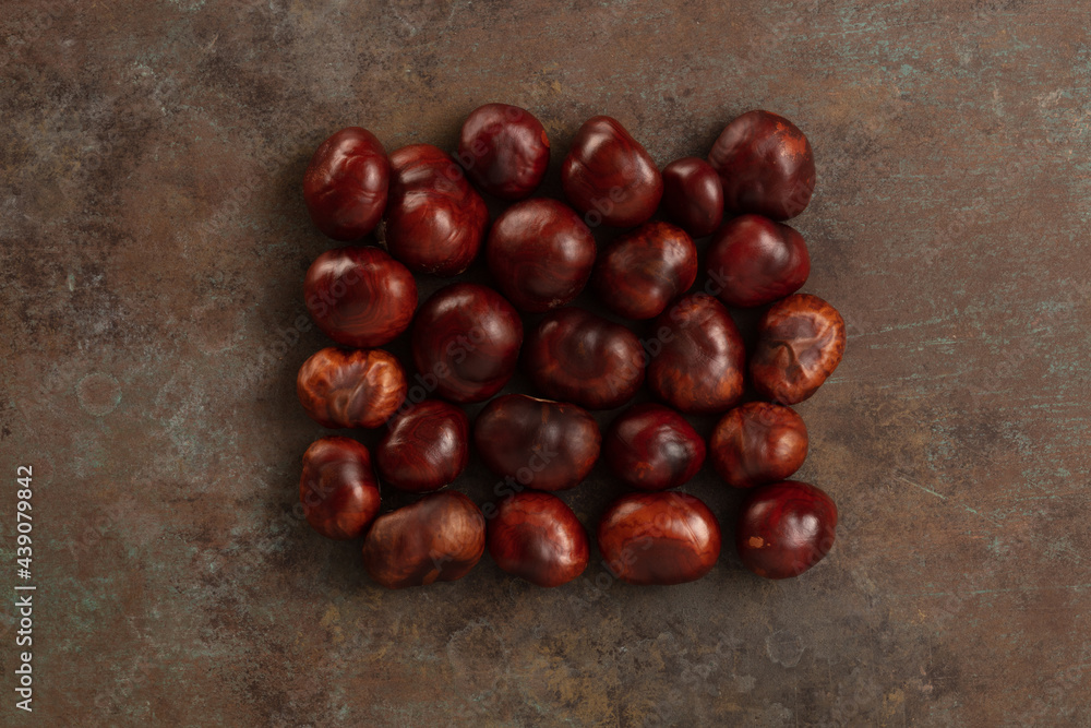 Obraz premium Ripe chestnuts on dark rustic background, close up. Raw Chestnuts for Christmas. Fresh sweet chestnuts lined in a rectangular shape. Food background.
