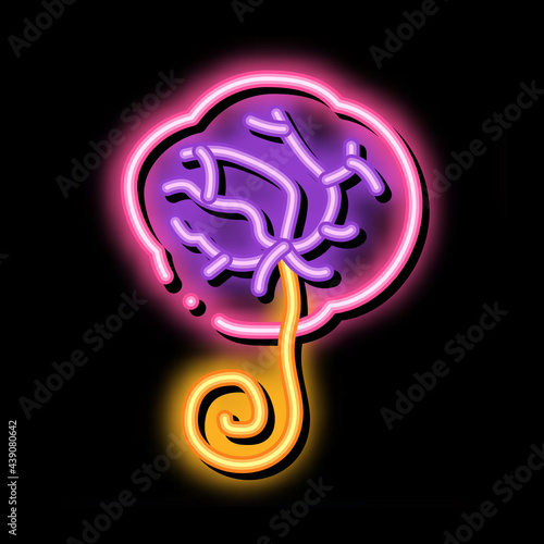 placenta human neon light sign vector. Glowing bright icon placenta human sign. transparent symbol illustration