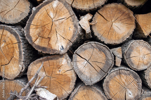 chopped oak firewood