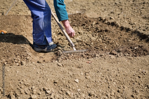 Traditional handmade planting seeds in spring in the garden