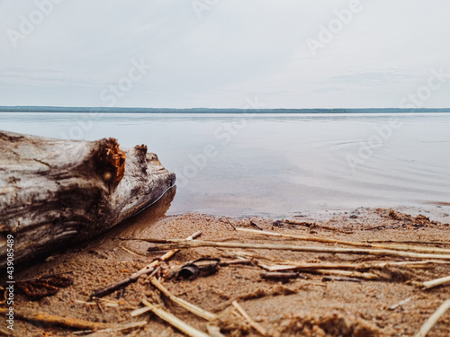 Scenic view of a lake in a forest with calm water on a cloudy day.