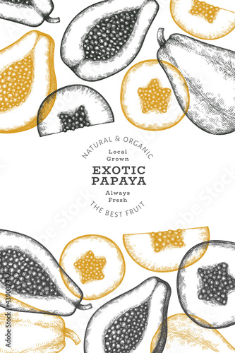 Hand drawn sketch style papaya banner. Organic fresh fruit vector illustration. Retro fruit design template