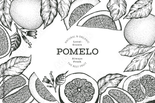 Hand drawn sketch style pomelo banner. Organic fresh fruit vector illustration. Retro fruit design template