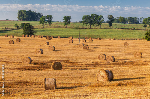 Fototapeta Naklejka Na Ścianę i Meble -  View of the Masurian fields.