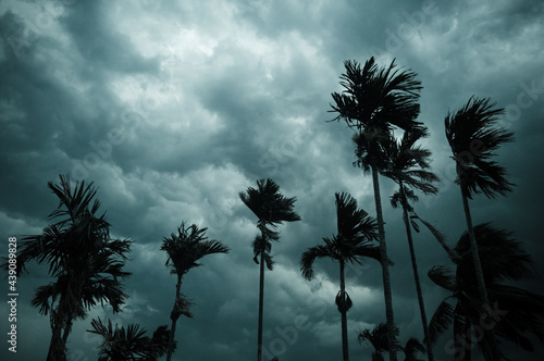 Photography Thick dark black heavy storm clouds covered summer sunset sky horizon