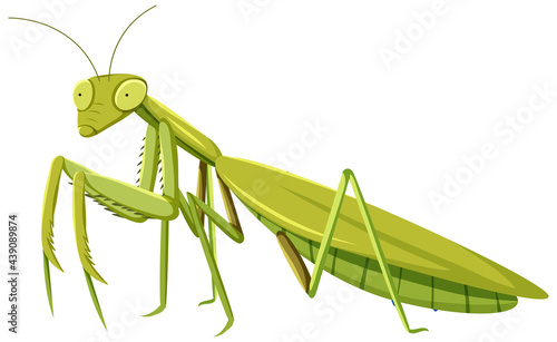 Mantid in cartoon style isolated on white background