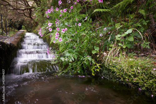 Beautiful water cascade at Levada das 25 Fontes trail, Madeira island, Portugal.